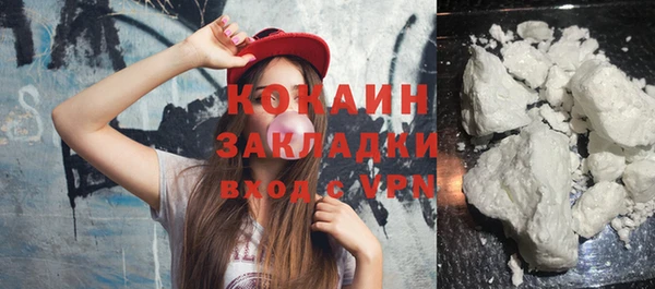 PSILOCYBIN Гусиноозёрск