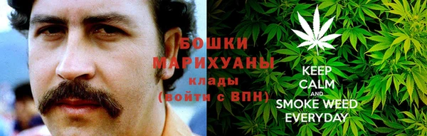 молекула духа Алзамай