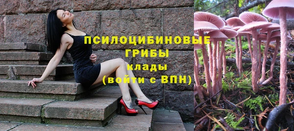 синтетический гашиш Краснослободск