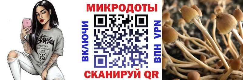 Галлюциногенные грибы мицелий  купить  цена  Богучар 
